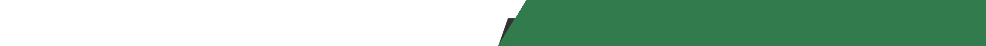 bg01
